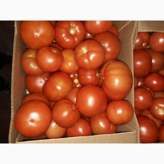Свежие томаты из Белоруссии со склада в СПб
