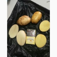 Продам картофель отличного качества