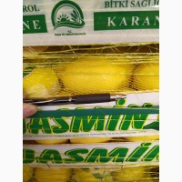 Продам Лимоны Интердонато, 72, ящ. 10 кг, Турция