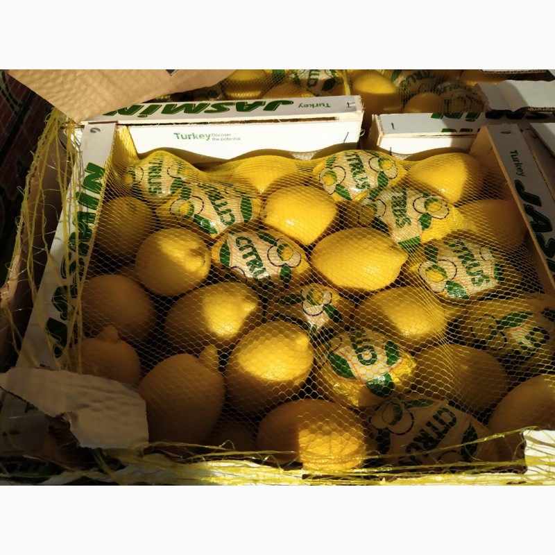 Фото 5. Продам Лимоны Интердонато, 72, ящ. 10 кг, Турция