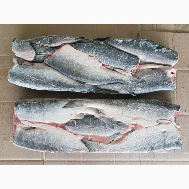 Фото 4. Продаем морепродукты, рыба икра