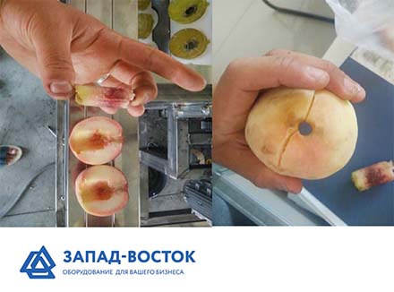 Фото 3. Машина для удаления сердцевины яблок