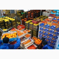 БФ Компани Торговля оптовая фруктами и овощами