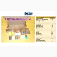 Наборы/комплекты для террариума с подкормками для улиток Ахатина и Архахатина