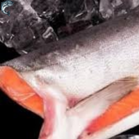 Горбуша свежемороженая Рыба Морепродукты оптом