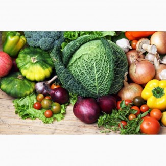 Реализуем овощи оптом