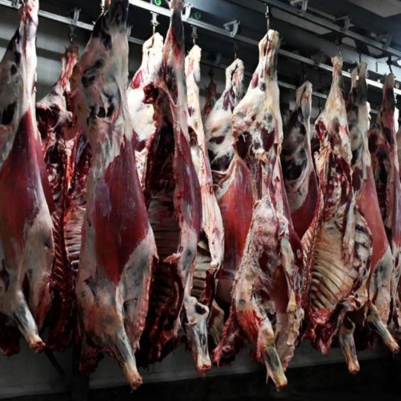 Фото 2. Говядина, свинина, мясо ЦБ оптом, отгрузка в регионы