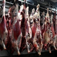 Говядина, свинина, мясо ЦБ оптом, отгрузка в регионы