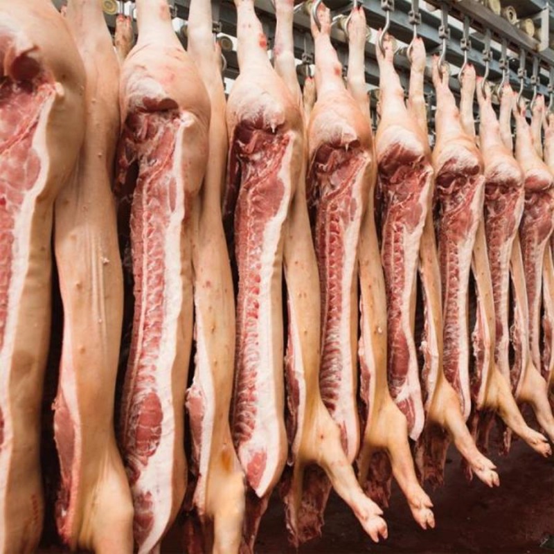Фото 3. Говядина, свинина, мясо ЦБ оптом, отгрузка в регионы