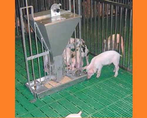 Фото 6. Оборудование для промышленного свиноводства на свинофермы