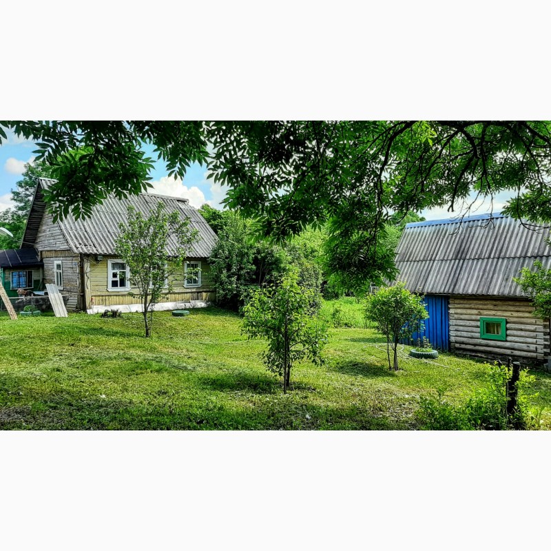 Фото 3. Крепкий домик с хорошей баней в хуторного типа деревушке под Псковом
