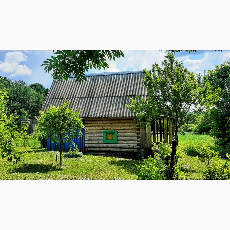 Фото 9. Крепкий домик с хорошей баней в хуторного типа деревушке под Псковом
