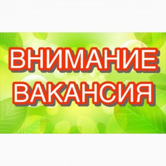 Требуется продавец-кассир