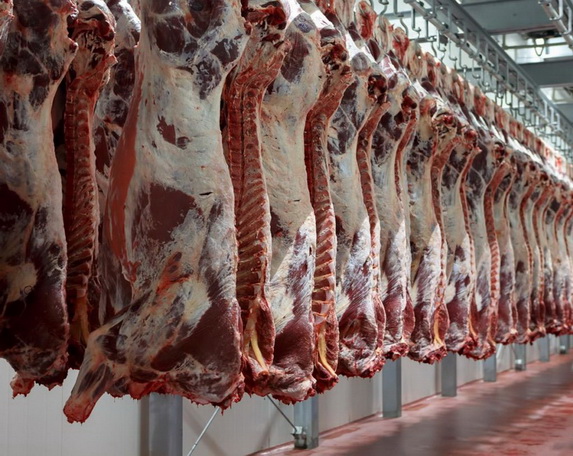 Фото 2. Мясо говядины, Куриное, в ассортименте, доставка от 2 до 19 т., оптом