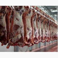 Мясо говядины, Куриное, в ассортименте, доставка от 2 до 19 т., оптом