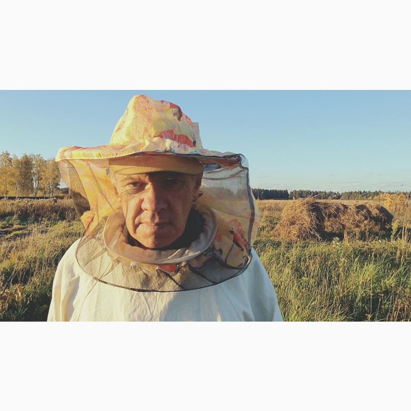 Фото 3. Пчелы, пчелосемьи, пчелопакеты, отводки, Матки