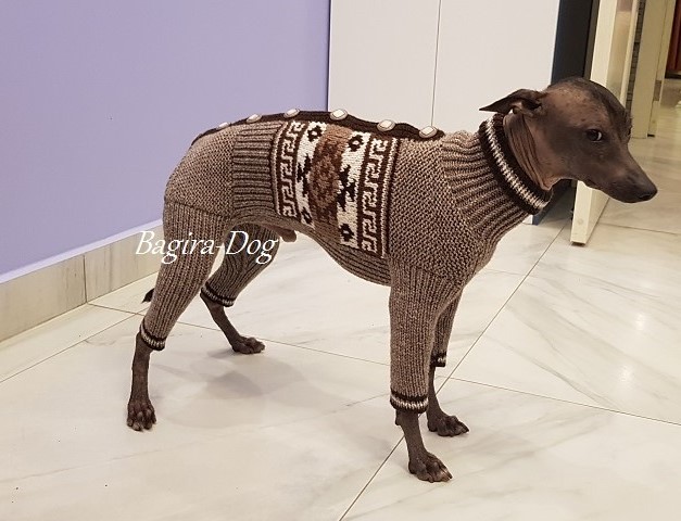 Фото 8. Комбинезоны и свитера для Ксоло, Перуанских собак