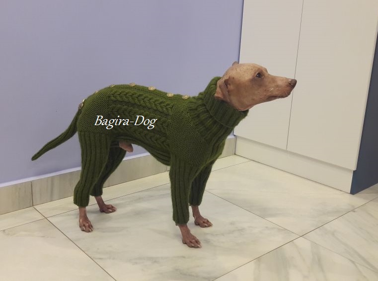 Фото 11. Комбинезоны и свитера для Ксоло, Перуанских собак