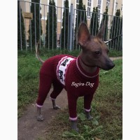 Комбинезоны и свитера для Ксоло, Перуанских собак