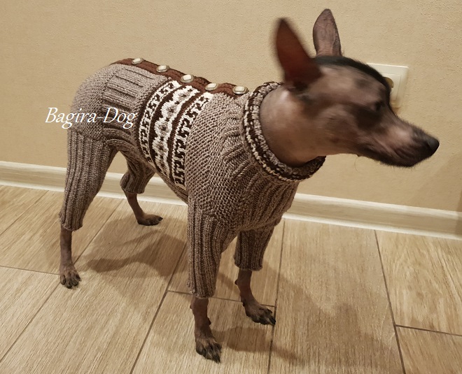 Фото 18. Комбинезоны и свитера для Ксоло, Перуанских собак
