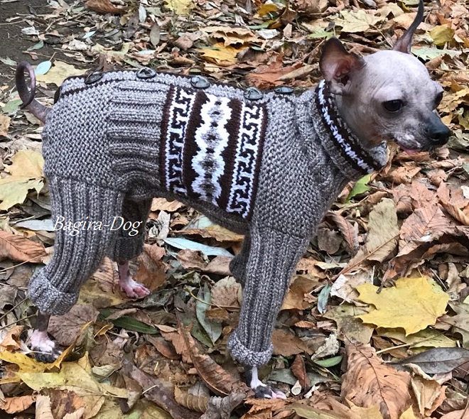 Фото 20. Комбинезоны и свитера для Ксоло, Перуанских собак