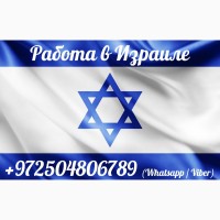 Легальное трудоустройство в Израиле для граждан РФ