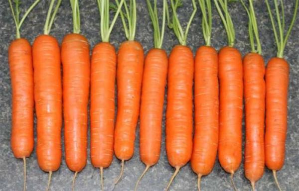 Фото 5. Овощи, картофель, лук репчатый, морковь
