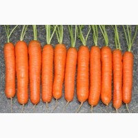 Овощи, картофель, лук репчатый, морковь
