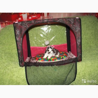 Выставочная палатка для кошек Ладиоли