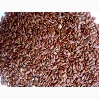 ООО НПП «Зарайские семена» покупает семена: лен масличный от 20 тонн