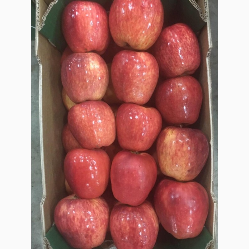 Фото 6. Продаем яблоки молдавские в г. Брянске