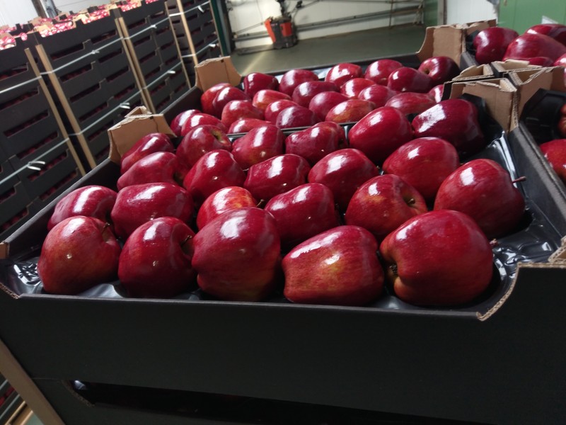 Продаем яблоки молдавские в г. Брянске