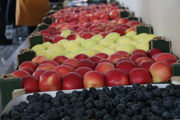 Фото 3. Продаем яблоки молдавские в г. Брянске