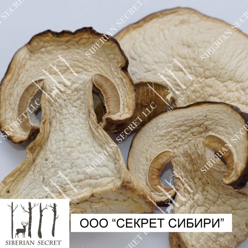 Фото 2. Белый гриб сушеный