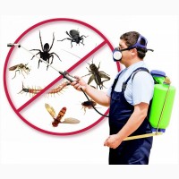 Средства для дезинсекции и дератизации (борьбы с насекомыми и грызунами)