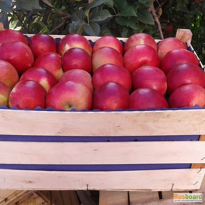 Фото 11. Ящики шпоновые для яблок в Крыму