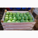 Ящики шпоновые для яблок в Крыму