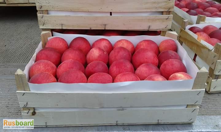 Фото 13. Ящики шпоновые для яблок в Крыму