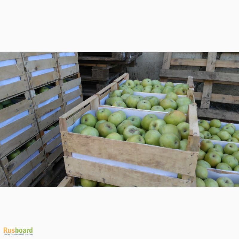 Фото 5. Ящики шпоновые для яблок в Крыму
