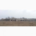 Ферма в селе Долгинино, Рязанской области