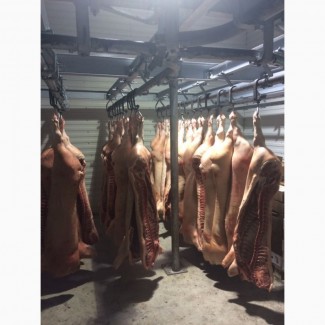 Мясо оптом в Москве с бесплатной доставкой - свинина, говядина, баранина