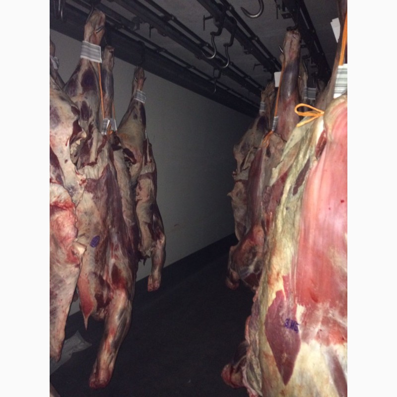 Фото 2. Мясо оптом в Москве с бесплатной доставкой - свинина, говядина, баранина
