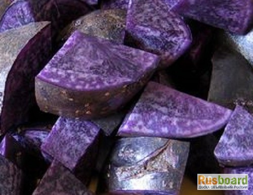 Фото 3. Фиолетовый семенной картофель Purple Majesty 10 шт