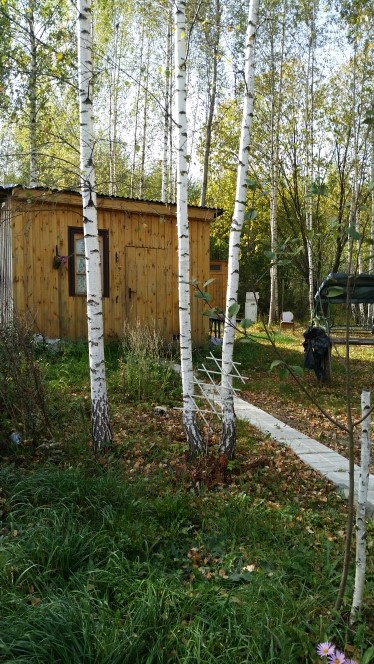 Фото 10. Сдаю дом в деревне Коломенского района