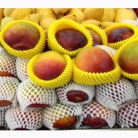 Машина по производству упаковочных сеток для защиты фруктов
