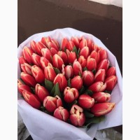 Тюльпаны оптом Новосибирск
