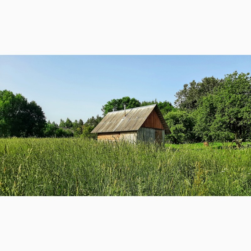 Фото 13. Добротный дом с хоз-вом и баней на хуторе под Псковскими Печорами