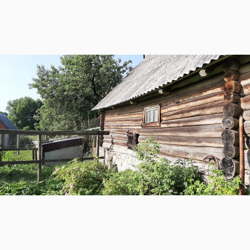 Фото 15. Добротный дом с хоз-вом и баней на хуторе под Псковскими Печорами
