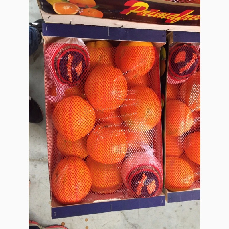 Фото 3. Продаем апельсины