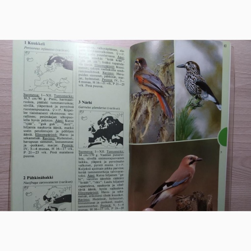 Фото 6. Определитель птиц Финляндия 1986 год